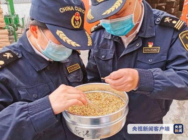 國(guó)際物流 國(guó)際貨運(yùn)代理 貨運(yùn)代理公司 航空國(guó)際貨運(yùn) ?？章?lián)運(yùn) 多式聯(lián)運(yùn)