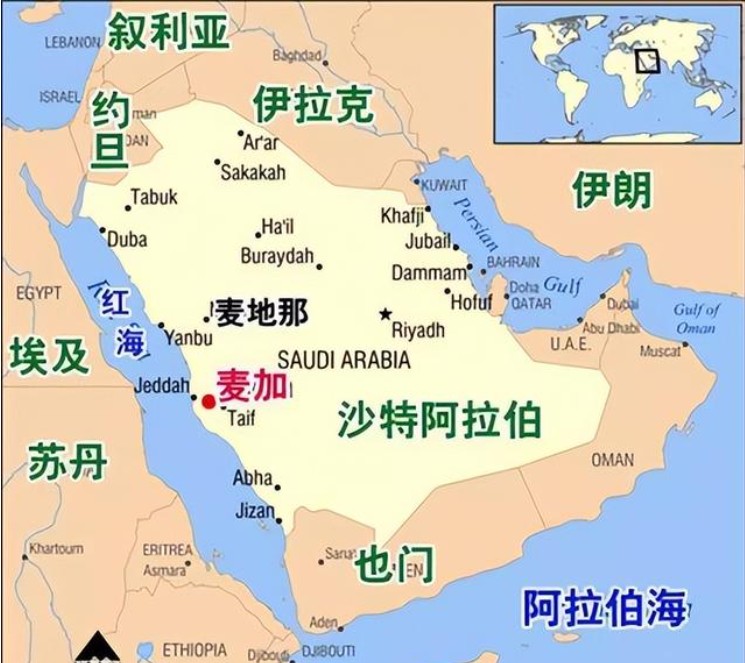 沙特專線 沙特海運船期查詢 沙特空運貨物追蹤 沙特?？章撨\雙清包稅門到門