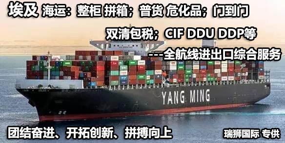 埃及物流貨運專線 埃及空運 埃及海運 埃及?？贞懚嗍铰撨\